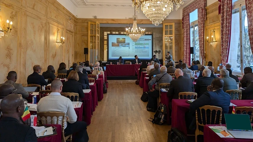 Photos de travail des personnes pr&eacute;sentes pour les ateliers de Regulae.